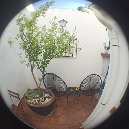 Casa El Patio En شقة