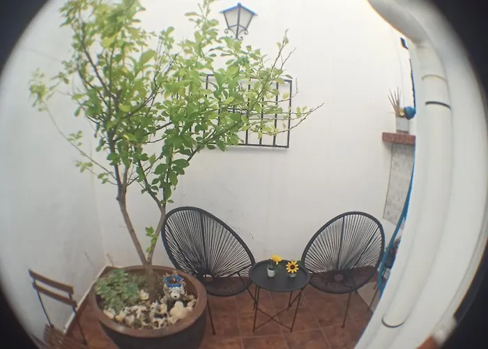 Casa El Patio En Διαμέρισμα